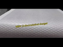 Filtro dall'aria di perdita di pressione bassa pre, corpo filtrante del poliestere di G3 G4 Rolls